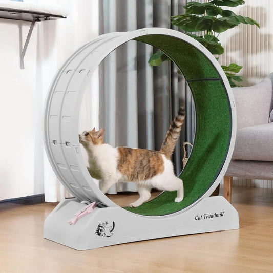 Cat Exercise Wheel