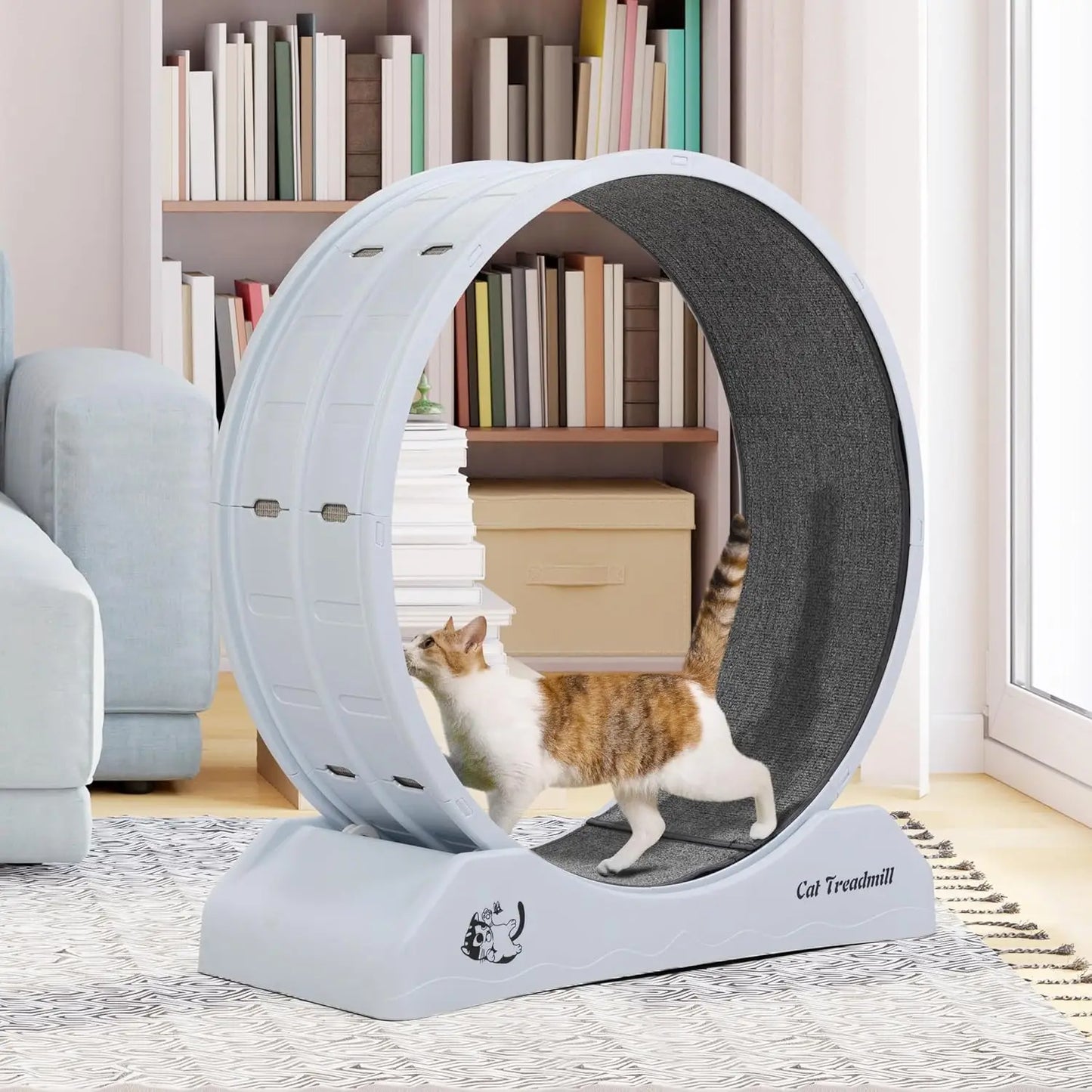 Cat Exercise Wheel