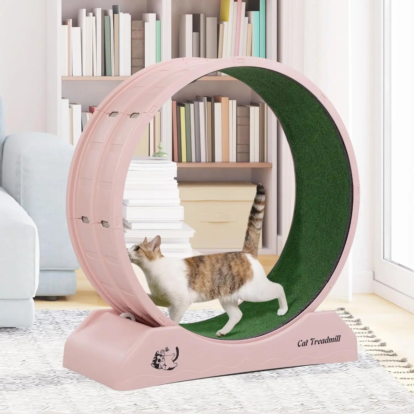 Cat Exercise Wheel