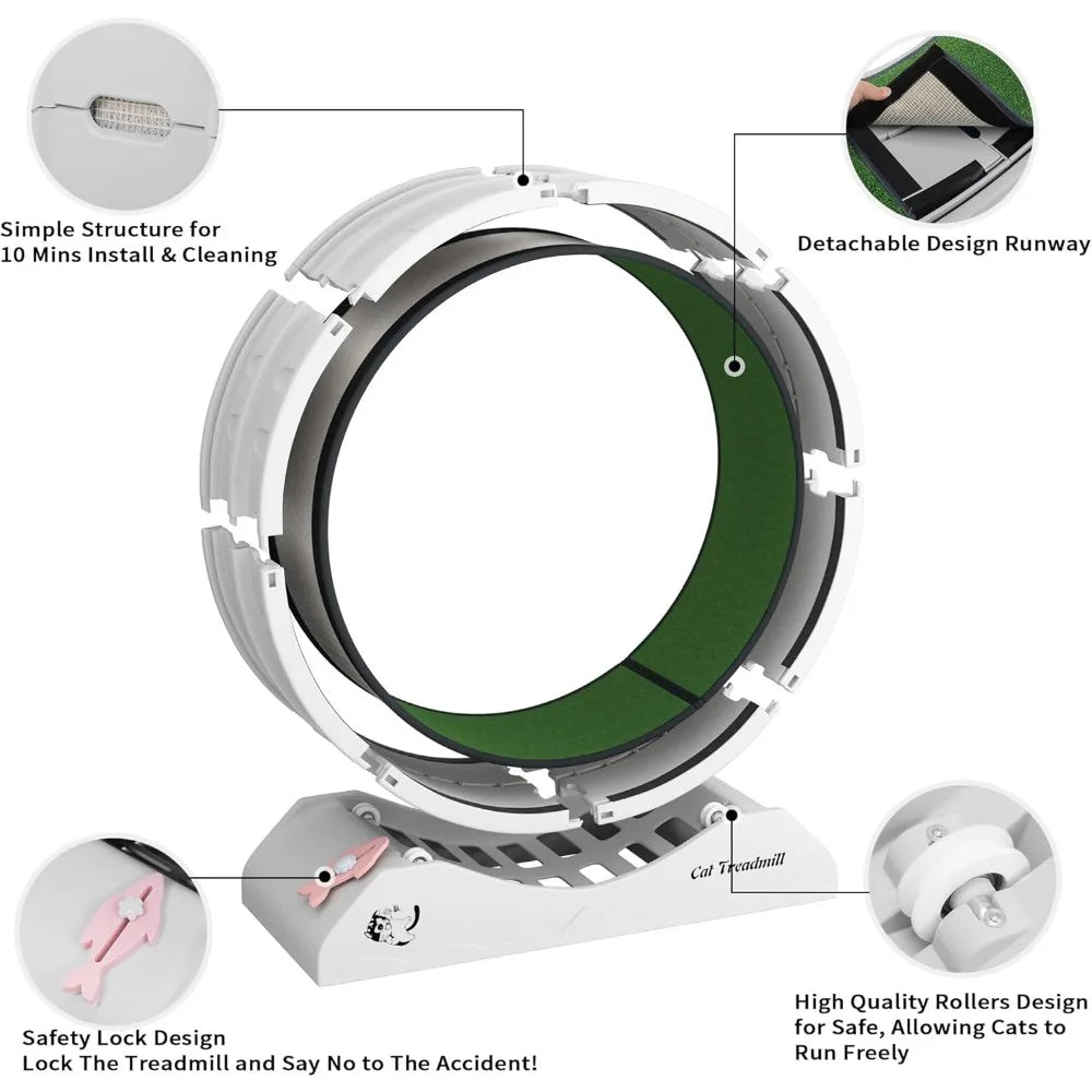 Cat Exercise Wheel