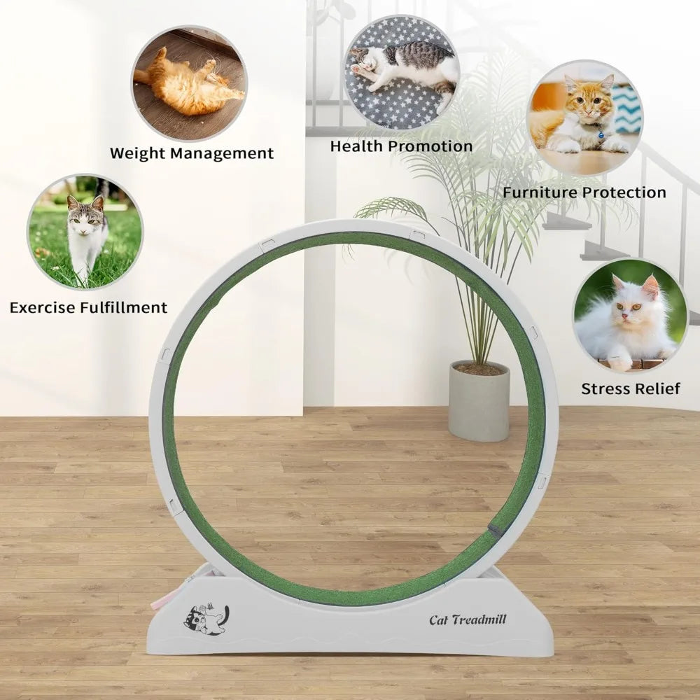 Cat Exercise Wheel